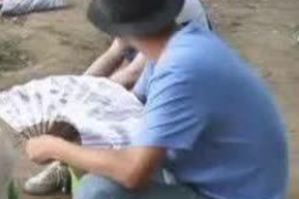 住院期间网贷催收:患者权益保护与合理催收的平衡 住院期间网贷催收:患者权益保护与合理催收的平衡