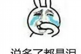 鸠江要账公司排名:揭秘行业翘楚,助力企业高效追债 鸠江要账公司排名:揭秘行业翘楚,助力企业高效追债