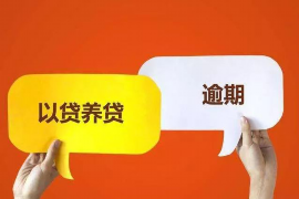 催收公司协商网商贷:化解债务危机的途径 催收公司协商网商贷:化解债务危机的途径