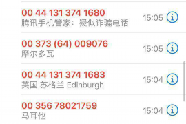 东北虎催收公司骚扰:揭秘催收行业的灰色地带 东北虎催收公司骚扰:揭秘催收行业的灰色地带