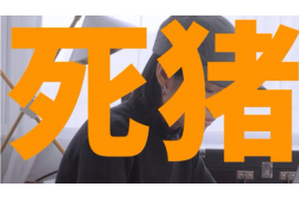 大数金融发的催收短信:揭秘金融借款催收背后的真相 大数金融发的催收短信:揭秘金融借款催收背后的真相