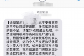 金明清数公司:引领数据服务新潮流 金明清数公司:引领数据服务新潮流