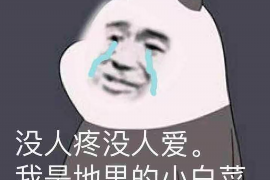 银行人员上门催收贷款:应对策略与法律常识 银行人员上门催收贷款:应对策略与法律常识